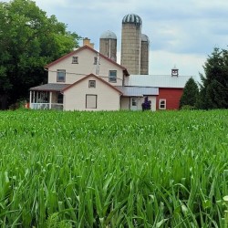 Private Countryside Back Roads Tour - Mon, Wed, Fri (2-23 People)