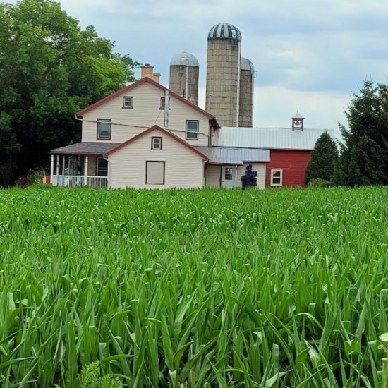 Private Countryside Back Roads Tour - Mon, Wed, Fri (2-23 People) Private Countryside Back Roads Tour - Mon, Wed, Fri (2-23 People)